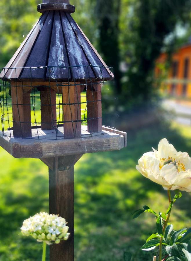 Desart School Garden Chalet Kilkenny Dış mekan fotoğraf