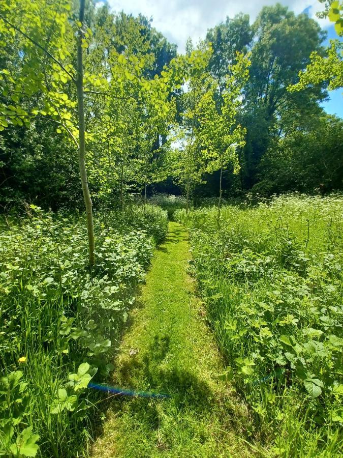 Desart School Garden Chalet Kilkenny Dış mekan fotoğraf