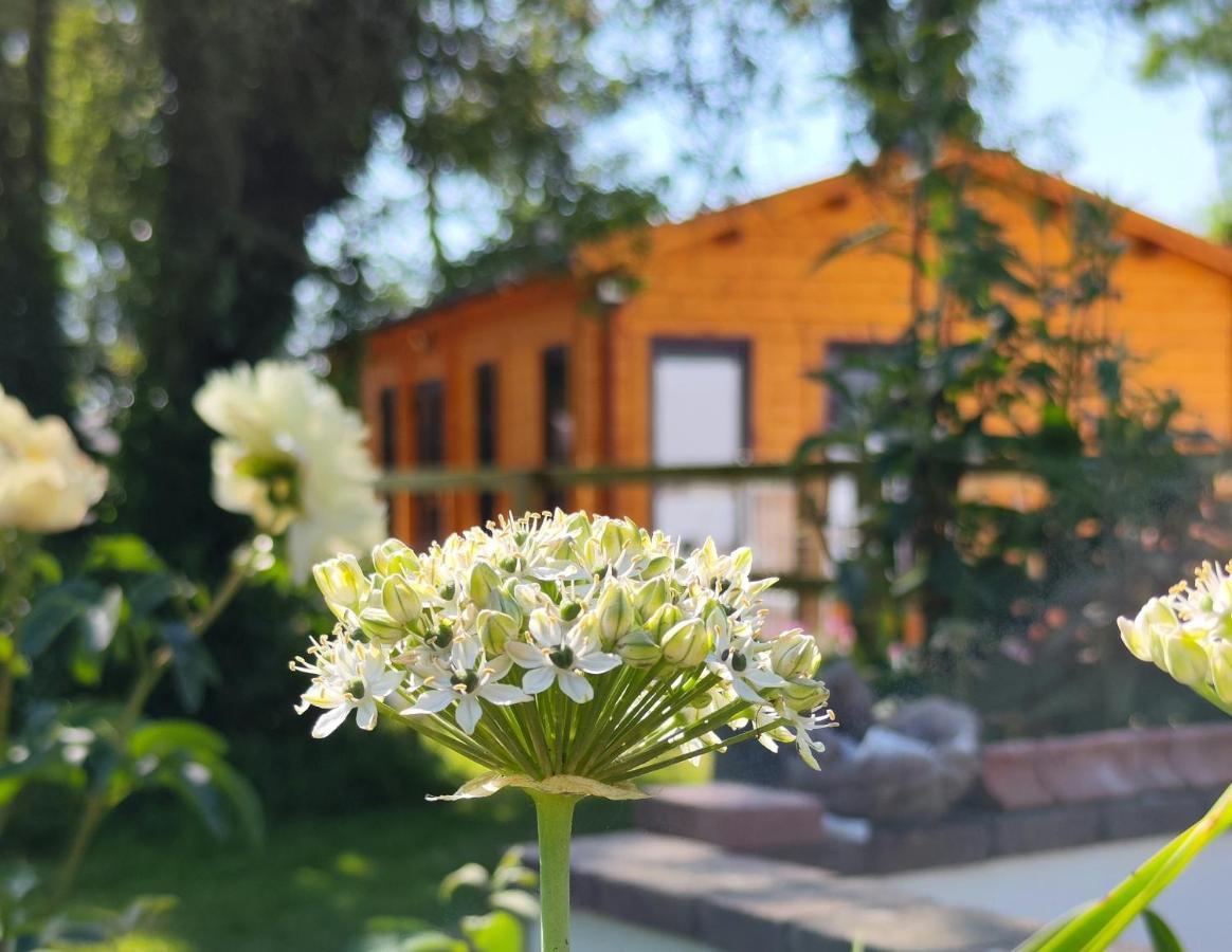 Desart School Garden Chalet Kilkenny Dış mekan fotoğraf